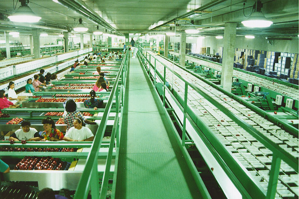 Packing House Operations for Fruits and Vegetables